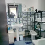 Arc En Ciel Et Cle Des Champs *