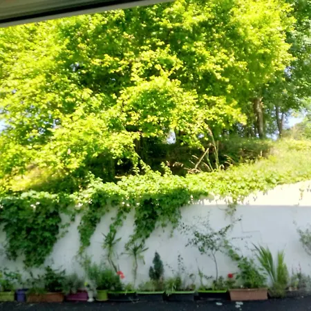 Appartement Arc En Ciel Et Cle Des Champs Contrexéville