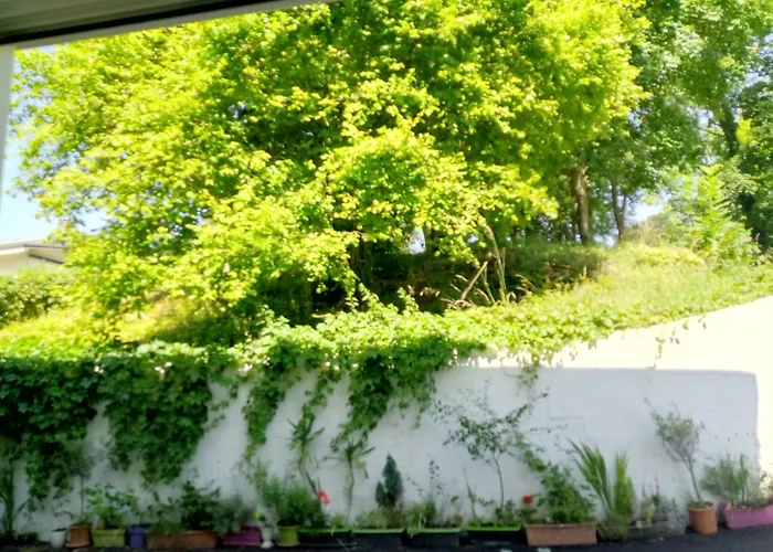 Appartement Arc En Ciel Et Cle Des Champs Contrexéville